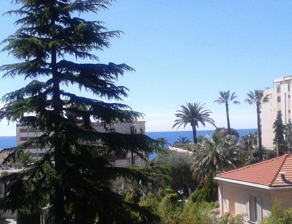 Holiday Or Congress, Centre - Beach Cannes Camera foto